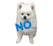 855297627