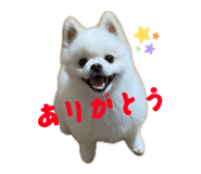 855297628