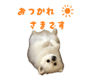855297632