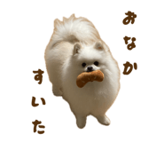 855297634