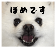 855297639