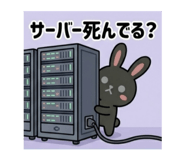 855298107