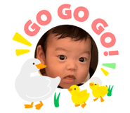 855304612