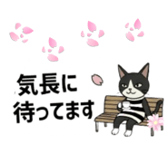 855305152