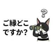 855305173
