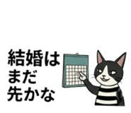 855305175