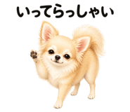 855306125