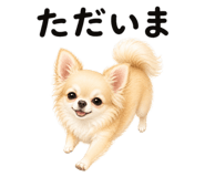 855306127
