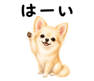 855306131