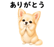 855306134