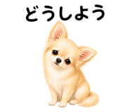 855306138