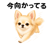 855306141