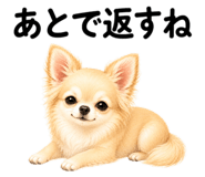 855306144
