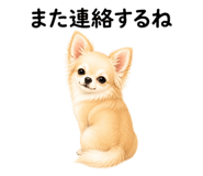 855306145