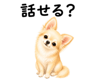 855306146