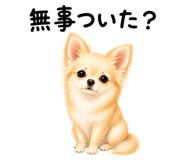 855306150
