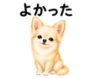 855306152