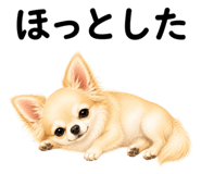 855306160