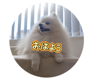 855306393