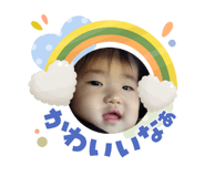 855306521