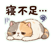 855306870