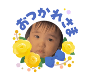 855307253