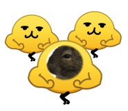 855307429