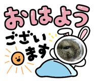855307434