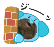 855307439
