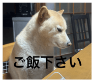 855308339