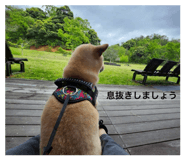 855308340