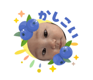 855308644