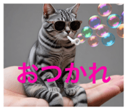 855308964