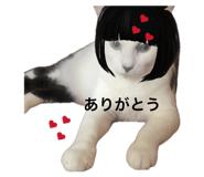 855308966