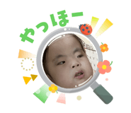855309400