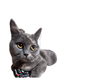855309534