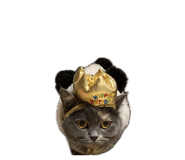 855309542