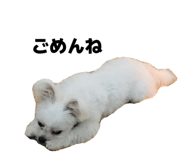855309610