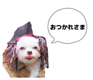 855309612