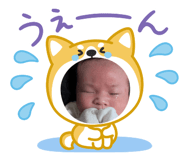 855309995