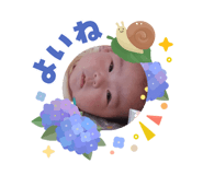 855311666