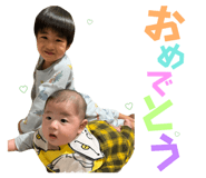855312612