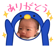 855313195