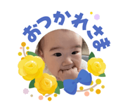 855315050