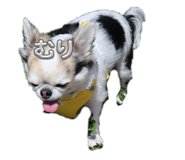 855315340