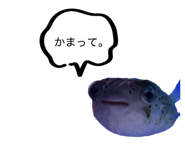 855315492