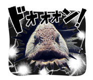 855315494