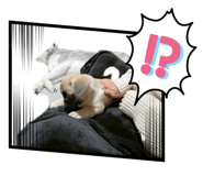 855315495