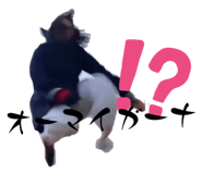 855315667