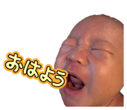 855316686